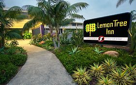 Lemon Tree Inn  3*